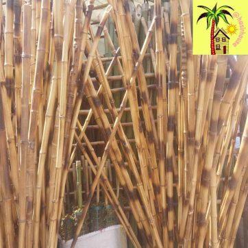 چوب بامبو تمام سایز ها از کوچکترین سایز تا بزرگ ترین سایز